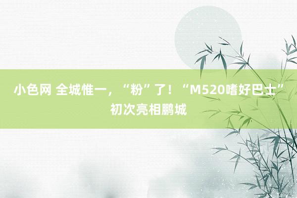 小色网 全城惟一，“粉”了！“M520嗜好巴士”初次亮相鹏城