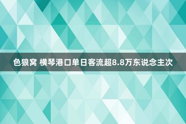 色狼窝 横琴港口单日客流超8.8万东说念主次