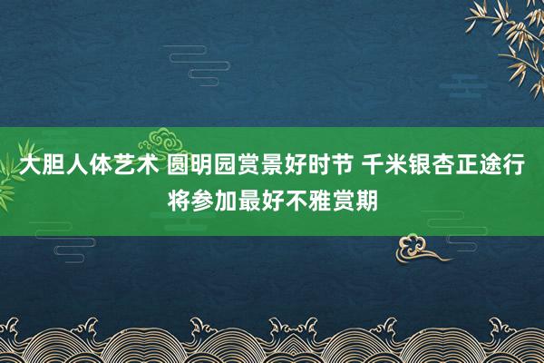 大胆人体艺术 圆明园赏景好时节 千米银杏正途行将参加最好不雅赏期