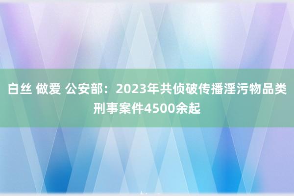 白丝 做爱 公安部：2023年共侦破传播淫污物品类刑事案件4500余起