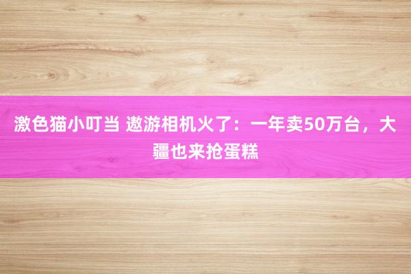 激色猫小叮当 遨游相机火了：一年卖50万台，大疆也来抢蛋糕