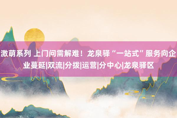 激萌系列 上门问需解难！龙泉驿“一站式”服务向企业蔓延|双流|分拨|运营|分中心|龙泉驿区