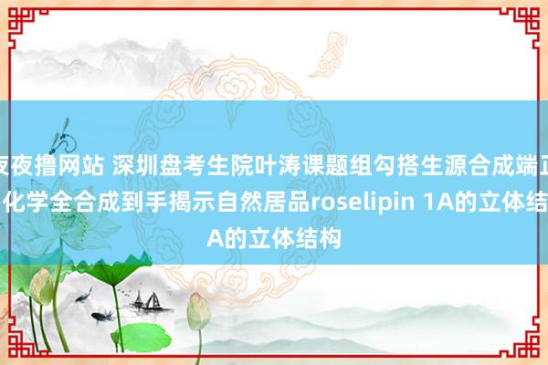 夜夜撸网站 深圳盘考生院叶涛课题组勾搭生源合成端正与化学全合成到手揭示自然居品roselipin 1A的立体结构